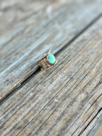 Fox Turquoise Cigar Band ring - Size 6